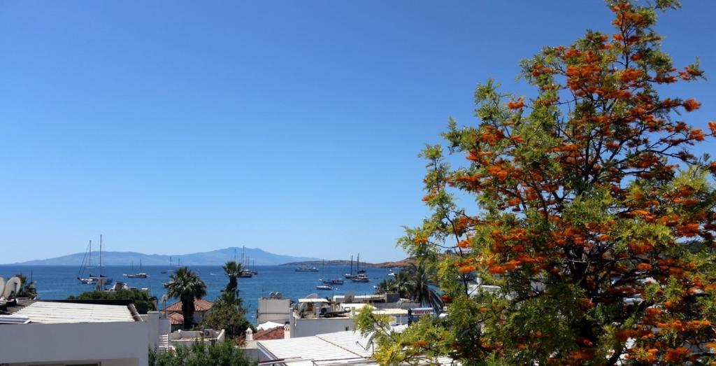 Agan Pension Bodrum Exteriér fotografie