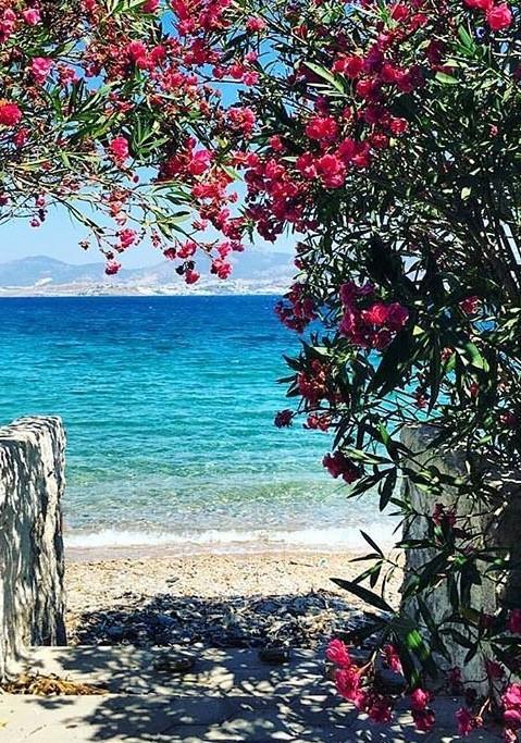 Agan Pension Bodrum Exteriér fotografie